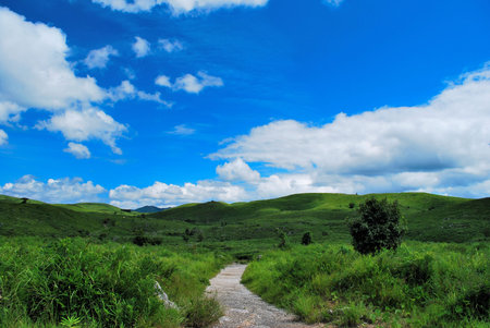 Path leading into the mountains