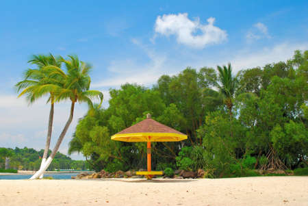 Tropical coconut trees, symbolizing holiday and leisure, and a quaint hut on a sandy beachの写真素材