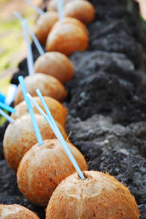 Coconuts opened for drinking with drinking strawsの写真素材