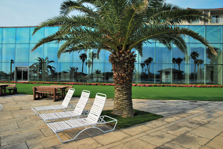 Beach chairs at a pool side with tropical coconut trees reflections. Suitable for concepts such as business and executive travel, tourism, vacation and holiday, and relaxation.のeditorial素材