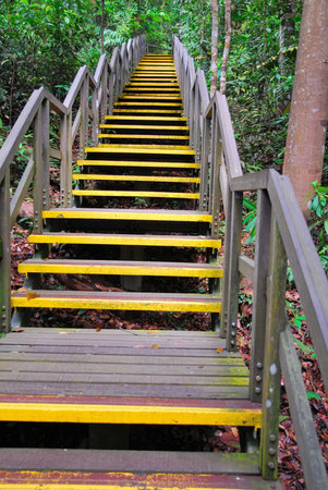 Long stretch of stairs leading high up. Symbolizes concepts such as business, economy and finance,...