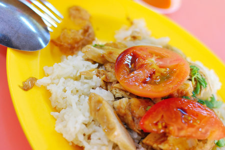 Healthy Chinese style vegetarian chicken rice. Suitable for concepts such as diet and nutrition, healthy eating and healthy lifestyle, and food and beverage.の写真素材