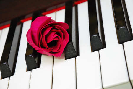 Closeup of shot of red rose on piano keyboard, signifying concepts such as love of music, creativity and love and romance.の写真素材
