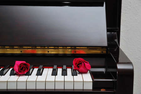 Two red roses on piano keyboard, signifying concepts such as love of music, creativity and love and romance.
の写真素材