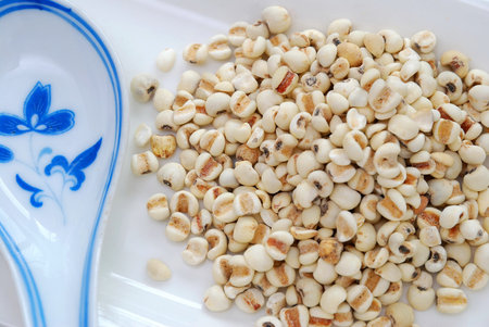 China spoon with dried barley seeds. Commonly used as a food ingredient in many Chinese cuisine and desserts. For food and beverage, and diet and nutrition concepts.の写真素材