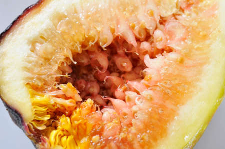 Closeup of cut fig. For healthy lifestyle and fruit concepts.の写真素材