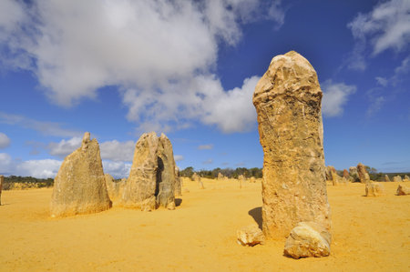 Closeup shot of pinnacles in The Pinnacles Desert, Australia.