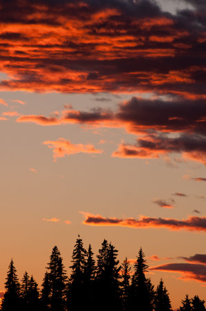 Beautiful and breathtaking red sunset with trees in silhouette.の写真素材
