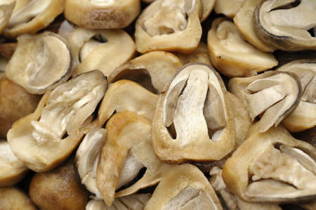 Macro shot of straw mushrooms washed and cut, prepared as cooking ingredients.の写真素材