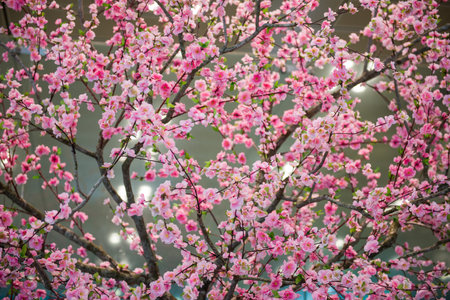 Cherry blossom decorations for celebrating the new year.の写真素材