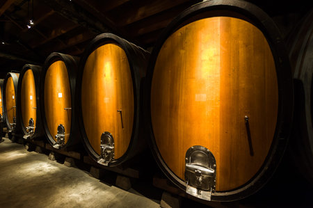 Underground wine cellar with huge wooden barrels.