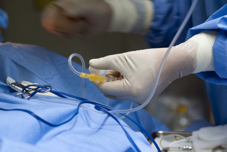 Close-up of a nurseの写真素材