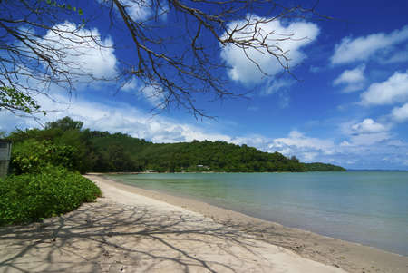 A beautiful beach on a summer dayの写真素材
