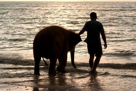 A mahout and a baby elephant enjoy themselves at the beachの写真素材