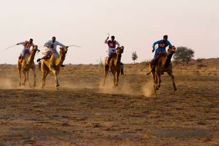 JAISALMER, INDIA - FEB 25   Camel racing on Feb 25, 2013 in Jaisalmer, India   The event is part of the Desert Festival held in winter to attract both domestic and international tourists のeditorial素材