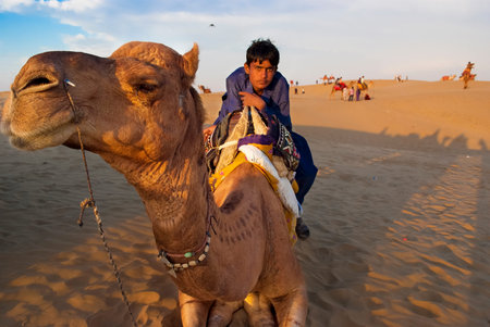 JAISALMER, INDIA - FEB 26  Unidentified boy on a camelのeditorial素材