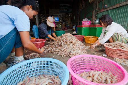 TRAD, THAILAND â MAR 9  Locals inspect and grade shrimps ready for sale on Mar 9, 2008 in Trad, Thailand   Trad is a coastal province where commercial fisheries prevail のeditorial素材
