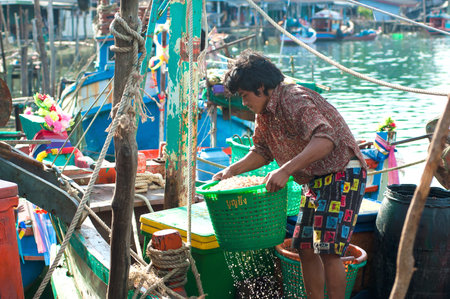 TRAD, THAILAND â MAR 9  A fisherman lifts the basket of shrimps off the boat on Mar 9, 2008 in Trad province, Thailand   Trad is a coastal province where commercial fisheries prevail のeditorial素材