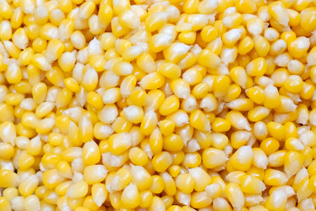 Buttery cooked corn kernels