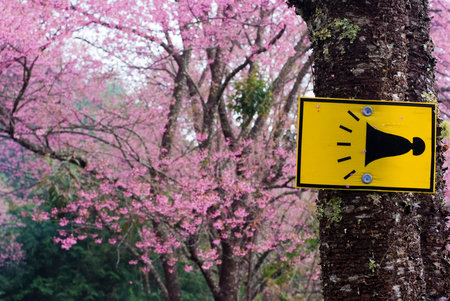 Sakura tree with a horn sign on