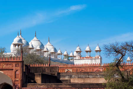 The Agra Fort is known as the Red Fort because it was build of the red sandstone.のeditorial素材