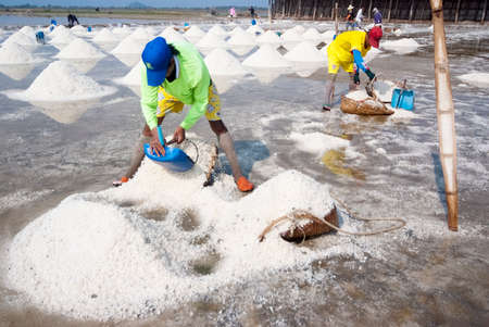 SAMUTSONGKRAM, THAILAND - MARCH 8: Farmers collect the ready-to-harvest salts on March 8, 2014 in Samutsongkram, Thailand. Samutsongkram is a big salt production area of Thailand.のeditorial素材