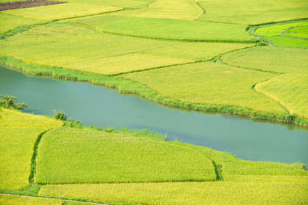 Rice field with a river running through itの写真素材