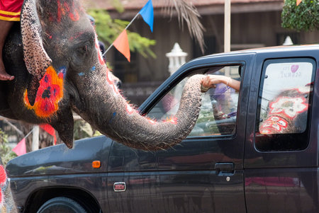 AYUTTHAYA, THAILAND - APR 14:  Elephants join in the Songkran Festival on Apr 14, 2014 in Ayutthaya, Thailand.  Initiated by Tourism Authority of Thailand, elephants also take part in the festival to give revelers more fun.のeditorial素材