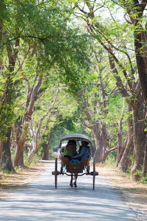 INWA, MYANMAR - MAR 03: tourists ride on a horse-drawn carriage on Mar 3, 2015 in Inwa, Myanmar....