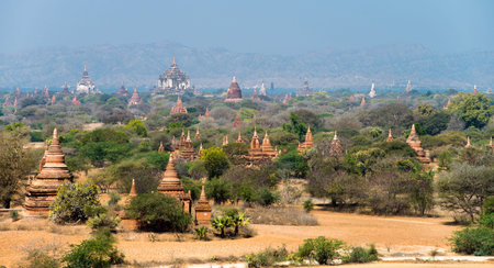 Endless sea of pagodas in Bagan, Myanmarの写真素材