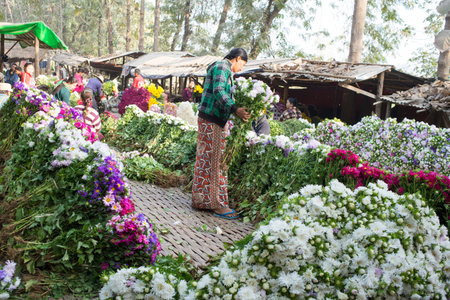 MANDALAY, MYANMAR - FEB 2, 2016: Vibrant morning market on the roadside to Mandalay on Feb 2, 2016.  Flowers are principally used in Myanmar as offerings to Buddha, both in homes and temples.のeditorial素材