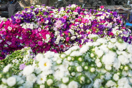 Colorful flowers for sale at the wholesale flower market in Kyauk Mee on the roadside to Pyin Oo Lwinの写真素材