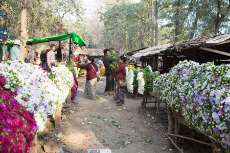 MANDALAY, MYANMAR - FEB 2, 2016: Vibrant morning market on the roadside to Mandalay on Feb 2, 2016.  Flowers are principally used in Myanmar as offerings to Buddha, both in homes and temples.のeditorial素材