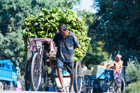 SILIGURI, INDIA â DECEMBER 5, 2016: local pulling a three-wheeled card laden with banana from the wholesale marketのeditorial素材