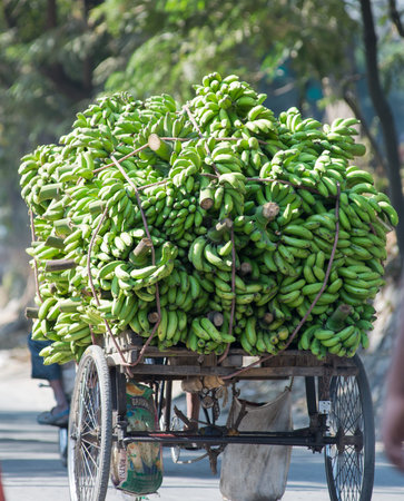 Transport of produce in Siliguri, Indiaの写真素材