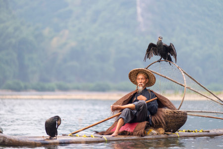 GUILIN, CHINA â€“ September 19, 2017:  Fishing with cormorant birds has been practiced in China...