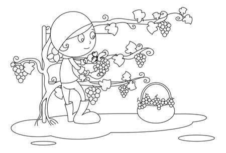 harvestの写真素材