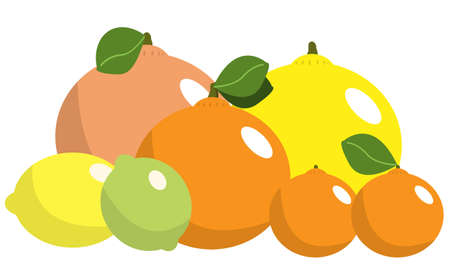 fruitsの写真素材