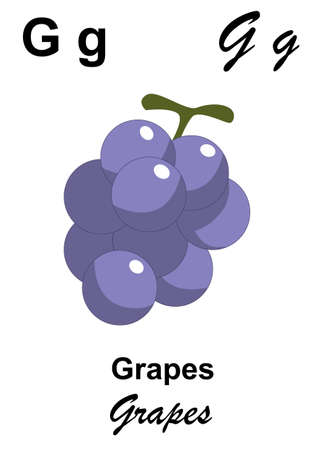 alphabet whit fruitの写真素材