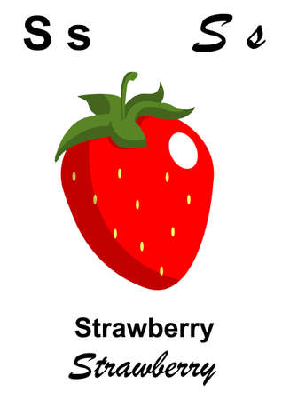 alphabet and fruitの写真素材