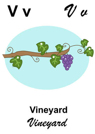 alphabet and fruitの写真素材