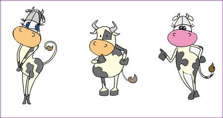 cows pageの写真素材