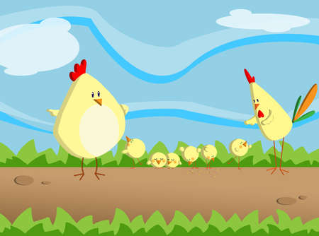 chicken familyの写真素材