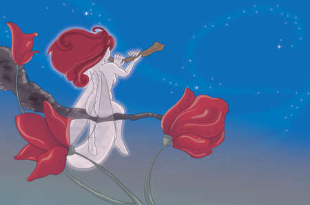 fairy nightの写真素材