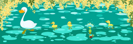 duck spring bannerの写真素材