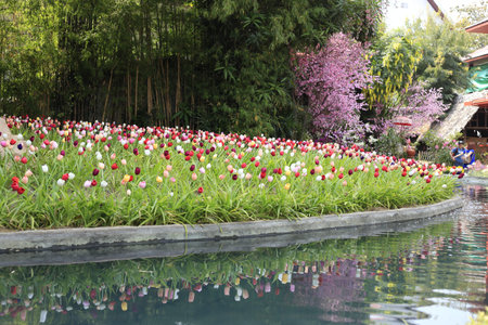 Flowersのeditorial素材