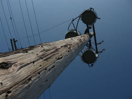 wooden utility poles and powerlines in a midwestern cityの写真素材