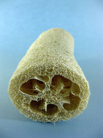 a small loofah for exfoliating and cleanlinessの写真素材