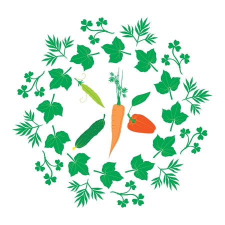 Cucumber, pea pod, pepper, carrot in a round frame of leavesのイラスト素材