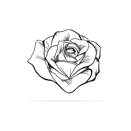 rose Icon. Vector concept illustration for design.のイラスト素材